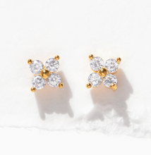 Load image into Gallery viewer, Girls Crew - Teeny Tiny Clear Cluster Studs: Gold