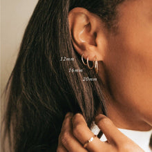 Load image into Gallery viewer, Made By Mary - Live In Hoop Earrings: Gold Filled / 16mm
