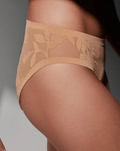 Load image into Gallery viewer, EBY - Sheer Flocked Brief: Madam Muse / L

