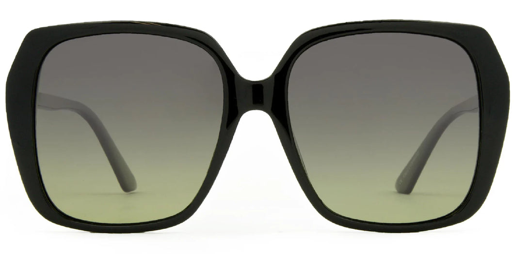 CARVE - Ebony Sunglasses