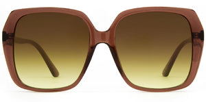 CARVE - Ebony Sunglasses